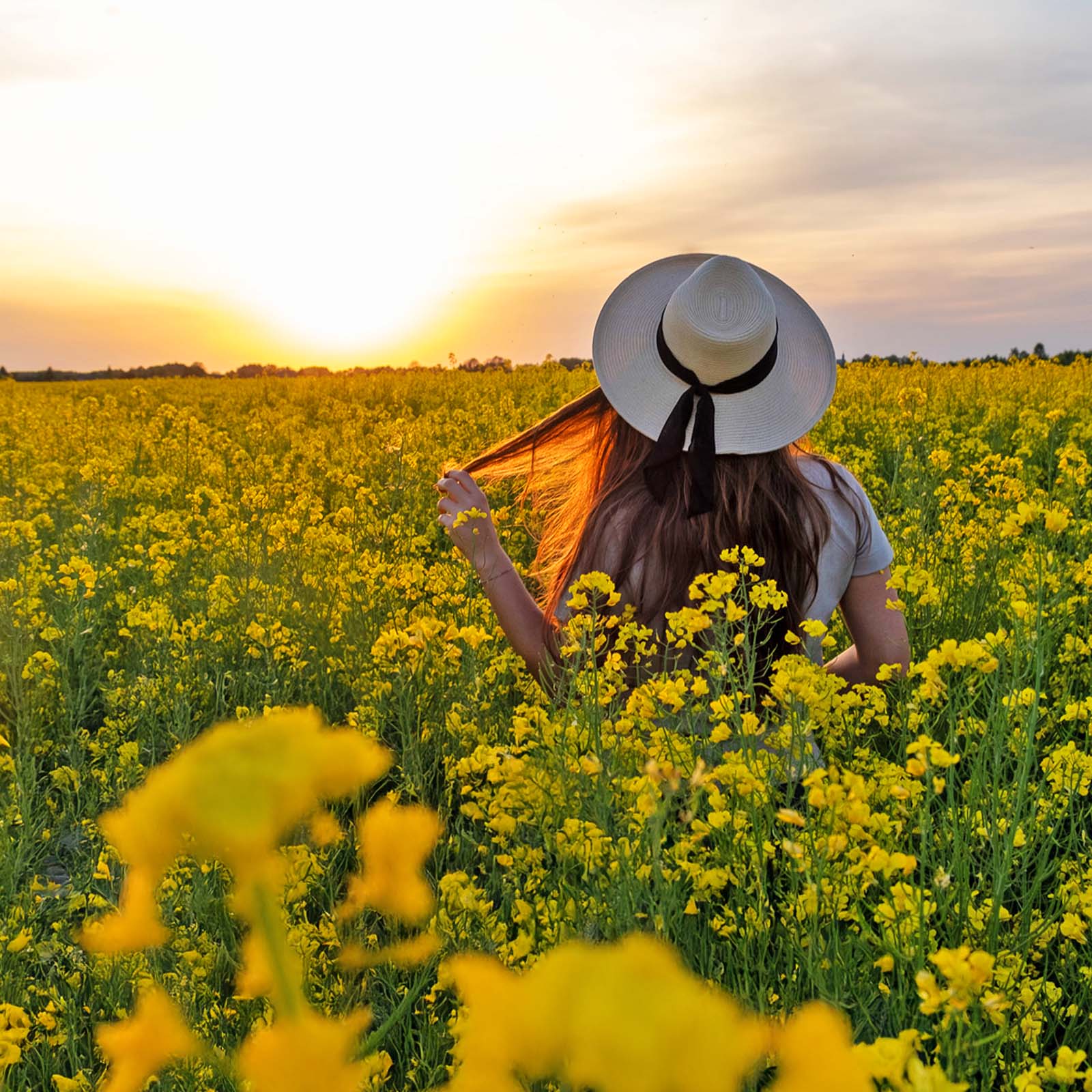 Oferta plenerowa Plaskota Art Oferta plenerowa Plaskota Art