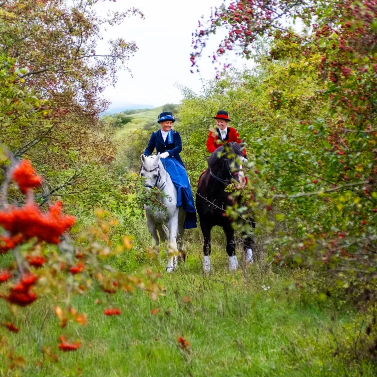 Plaskotaart_sesja z konmi