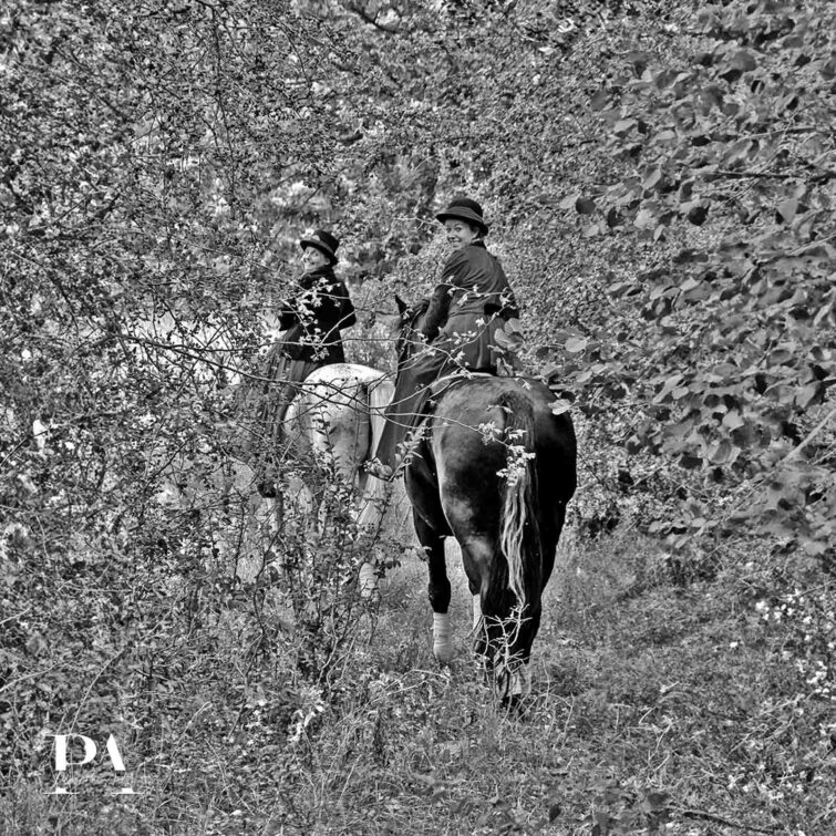 Sesja z końmi Plaskota Art