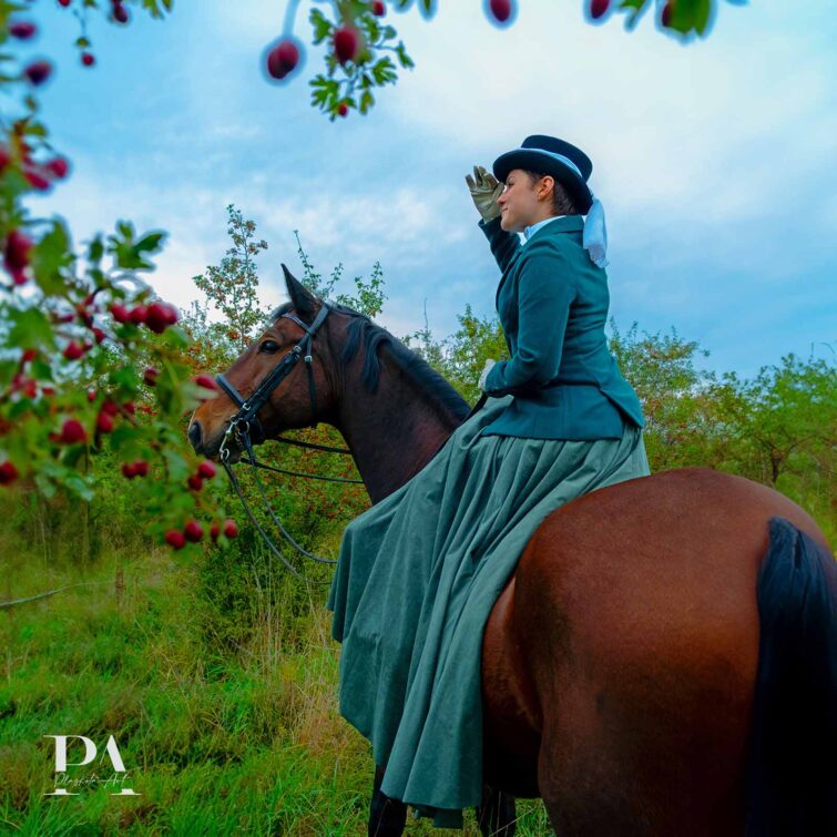 Sesja z końmi Plaskota Art