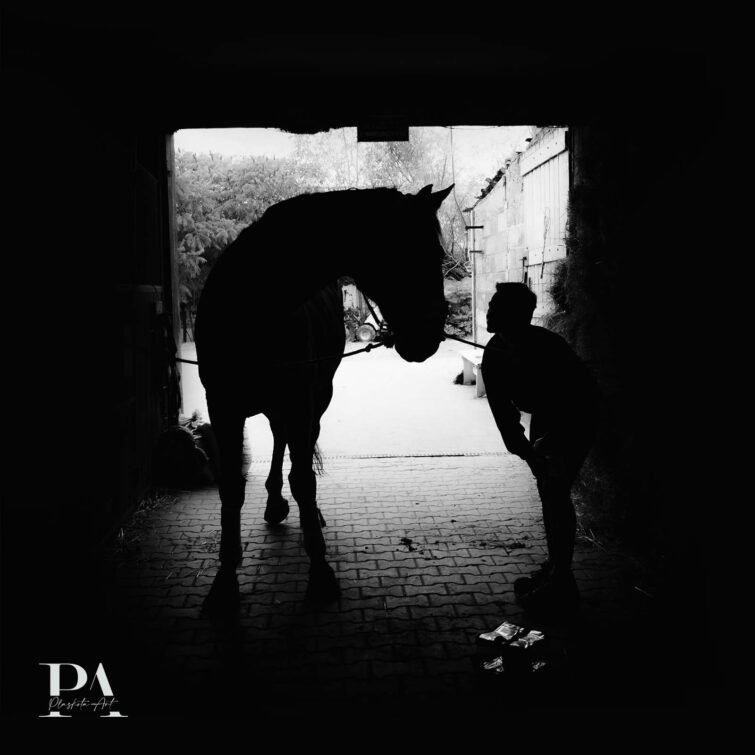 Sesja z końmi Plaskota Art