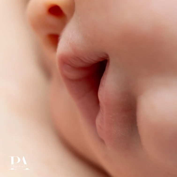 Sesja rodzinna i dziecięca Plaskota Art