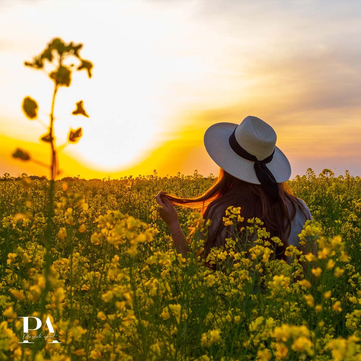 Sesja plenerowa Plaskota Art