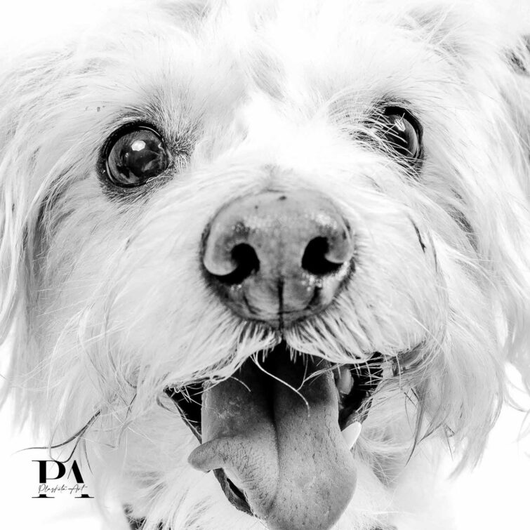 Sesja portretowa Plaskota Art