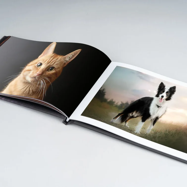 Oferta wydruków albumów I AKCESORIÓW FOTOGRAFICZNYCH Plaskota Art